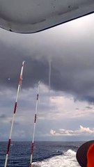 Jet d'eau sauvage sur l'océan - Buzz Buddy