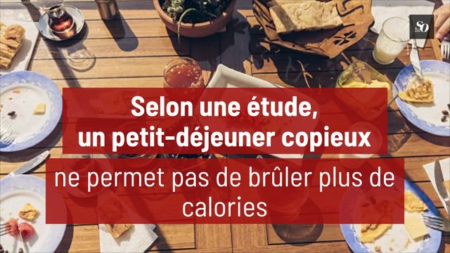 Selon une étude, un petit-déjeuner copieux ne permet pas de brûler plus de calories