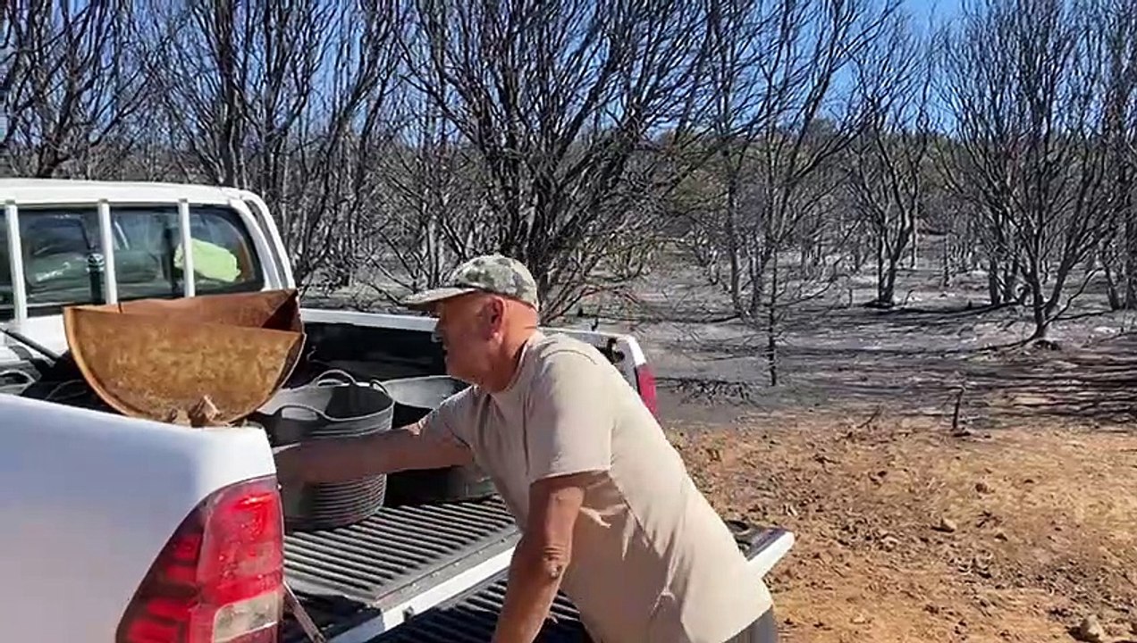 Comida para los animales
