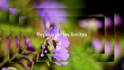 [BA] Silence ça pousse INTEMPO - 24/09/2022