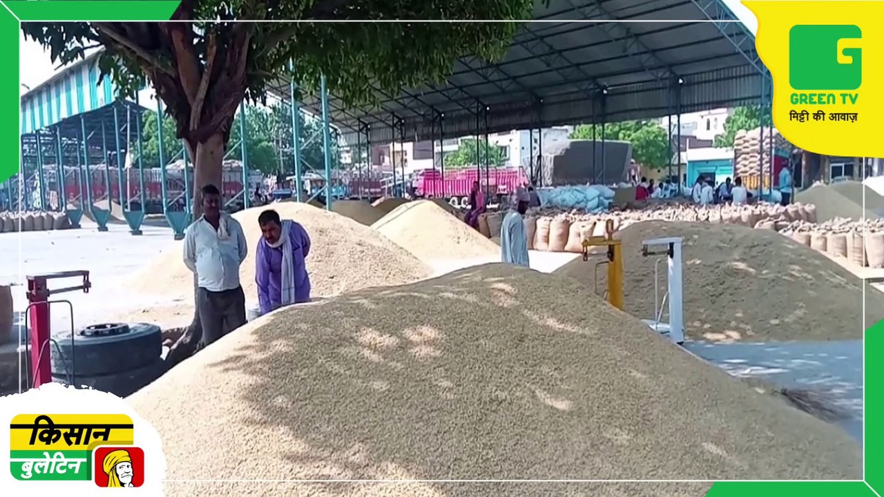 Kisan Bulletin 21 Sept 2022 - किसानों को सब्जियों के मुफ्त बीज देगी सरकार, सब्जियों की खेती के लिए किया जा रहा प्रोत्साहित