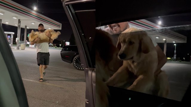 Owner tries to catch dog after she gets zoomies at a gas station