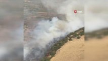 İzmir haberi: İzmir'de makilik alanda yangın