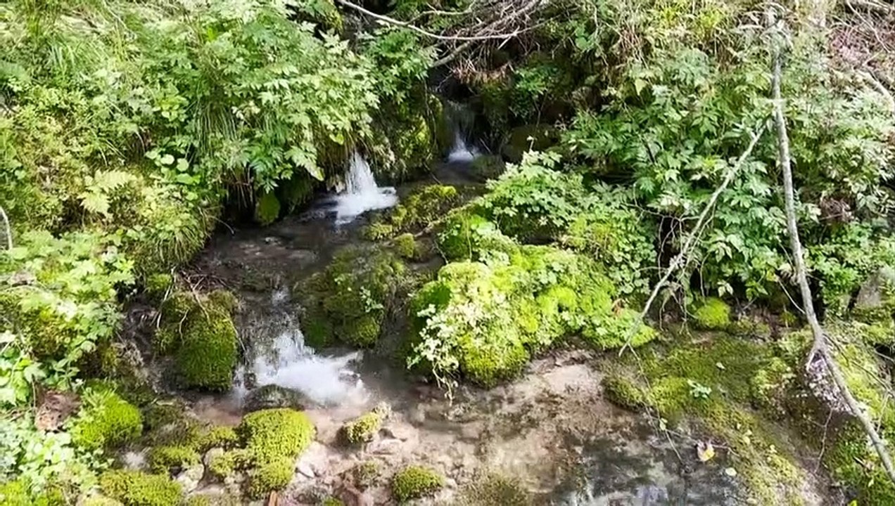 Vienne, capitale où l'eau coule de source