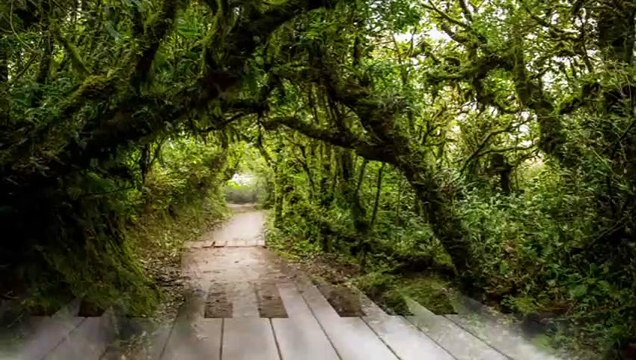 Musique Douce au Piano pour le Sommeil Relaxation et Détente.