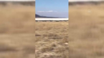 Yangın söndürme helikopteri düştü (1)