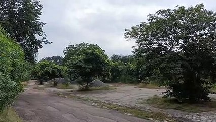 कल पांच जिलों में भारी बरसात का यलो अलर्ट , अगले तीन दिन जारी रहेगा बरसात का दौर