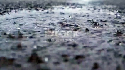 Nature Video |what's up status|