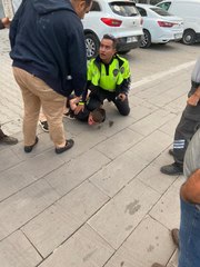 Başkentte cinayet: Tartıştığı eniştesini kaldırım taşıyla öldürdü