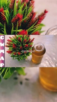 How To Grow THIN Hair Into THICK Hair Using Homemade Herbal Protein Hair Oil Remedy By CWMAP