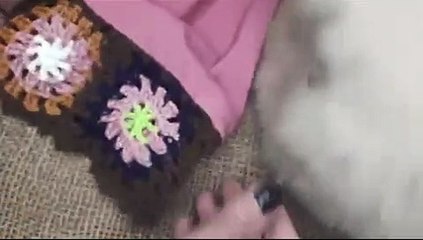 شكل بلوزات بالكروشيه علي القماش