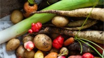 Comment cuisiner les légumes oubliés ?