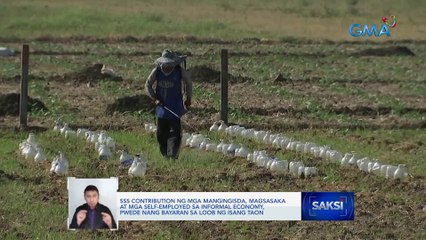SSS contribution ng mga mangingisda, magsasaka at mga self-employed sa informal economy, pwede nang bayaran sa loob ng isang taon | Saksi