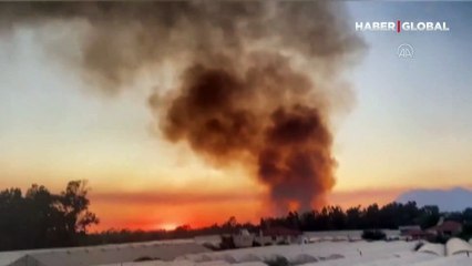 Kaş'ta bir orman, alev alev yanıyor!