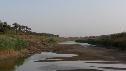 En Irak, le fleuve qui traverse tout le pays, le Tigre, se meurt