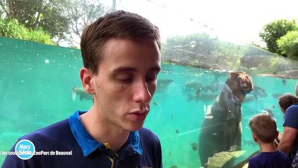 Hors Série - Beauval - 21/09/2022