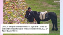 Mort d'Elizabeth II : ses corgis et son poney lui rendent hommage, des images qui ont touché le monde entier