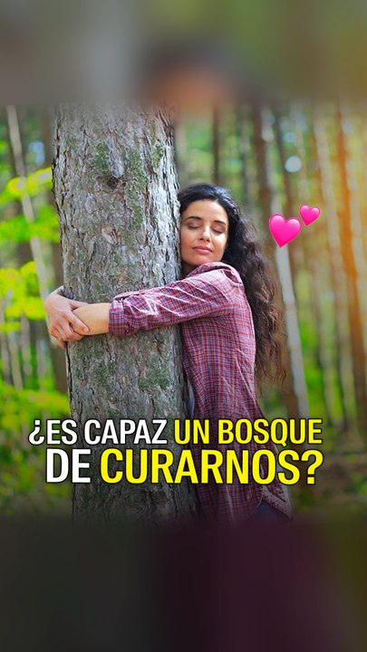 ¿Un bosque puede curarnos?