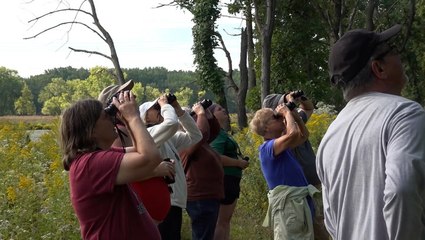 Bird watchers get a ‘bird’s-eye view’ of fall migration