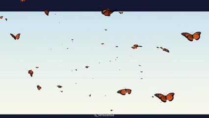 #dj__verdulandia #lucabrunellotreviso #2022verdulandia #brunellolucaufficiale #3dwarehouseufficiale #farfalle #animazione #remix #music