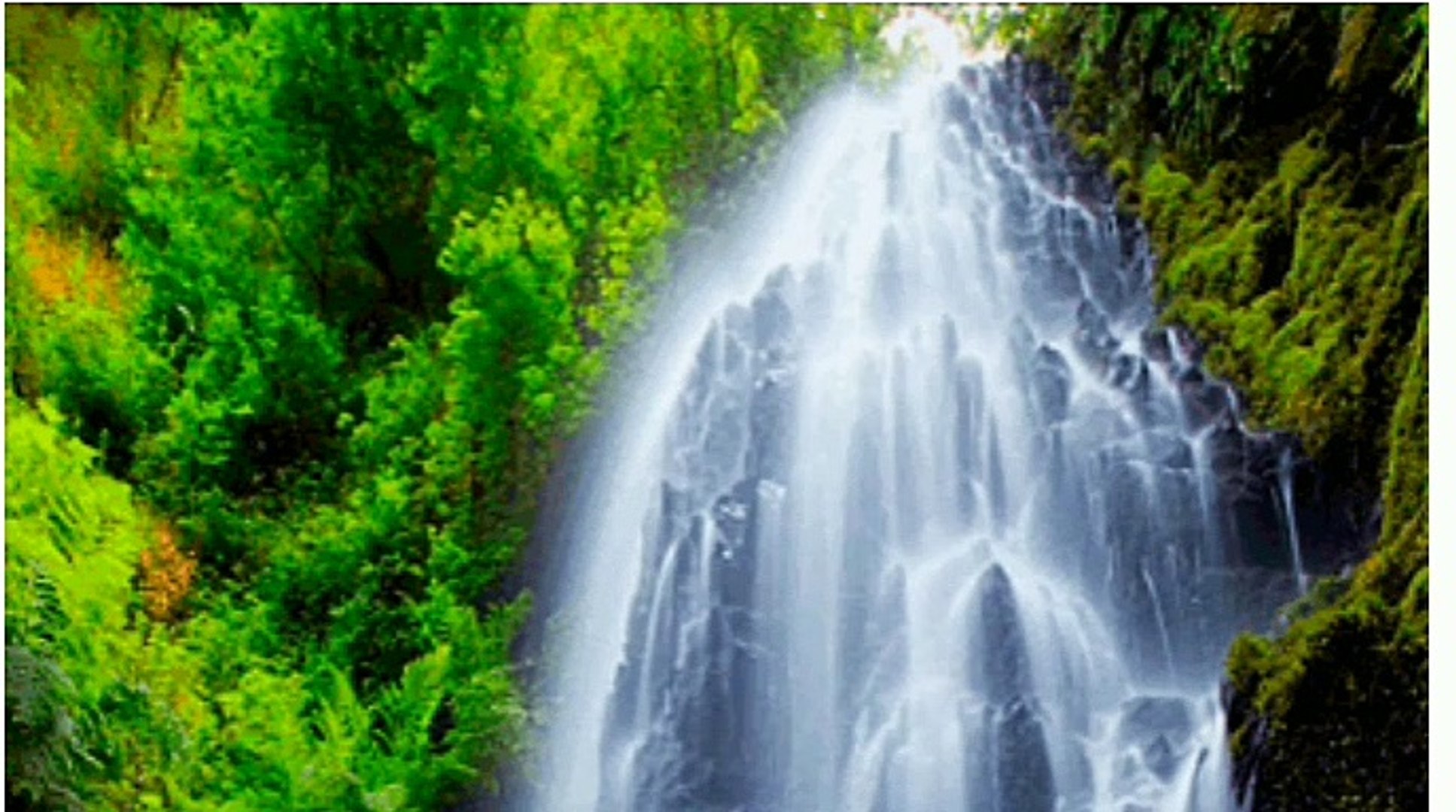 ⁣Mind fresh music |relaxing music |Mind relaxing music