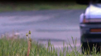 Das Böse in mir Staffel 1 Folge 8 HD Deutsch