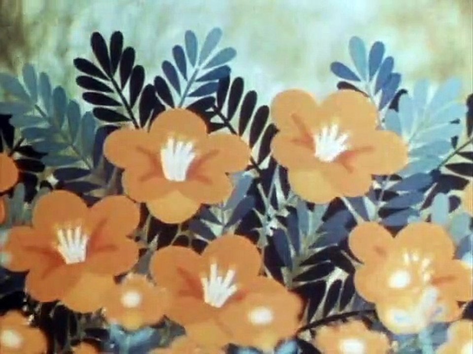 Tao Tao - Tiergeschichten aus aller Welt Staffel 1 Folge 33 HD Deutsch