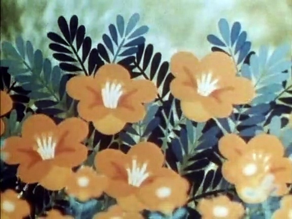 Tao Tao - Tiergeschichten aus aller Welt Staffel 1 Folge 36 HD Deutsch