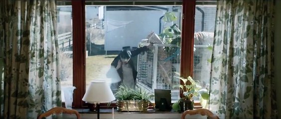 Mr. Ove Bande-annonce (IT)