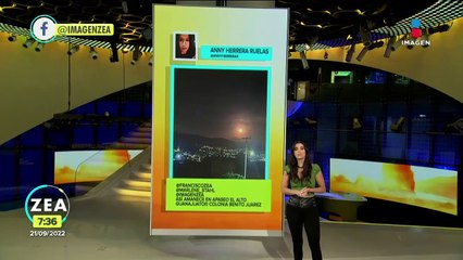 Así rescataron a una perrita y sus cachorros en Querétaro