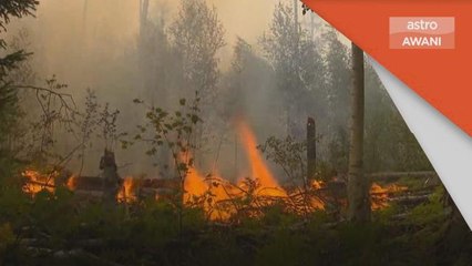 Gelombang Haba | Kebakaran hutan merebak di Ryazan