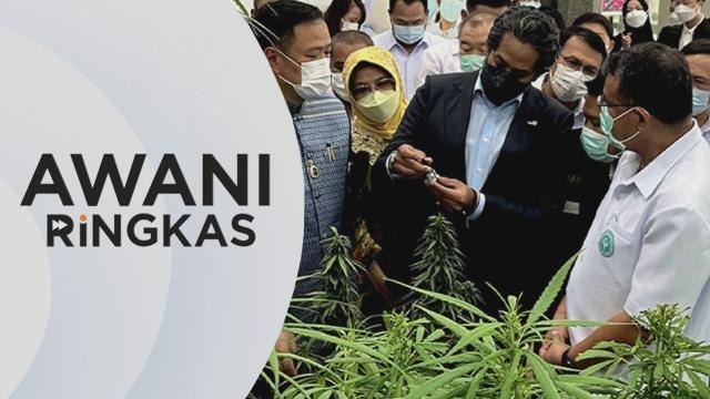 AWANI Ringkas: Tiada penggunaan ganja bagi tujuan rekreasi