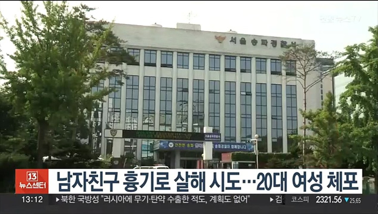 남자친구 흉기로 살해 시도…20대 여성 체포