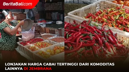 Lonjakan Harga Cabai Tertinggi dari Komoditas Lainnya di Jembrana