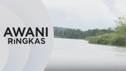 AWANI Ringkas: Spesis ikan sungai di Jerantut akan pupus 10 tahun lagi