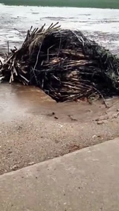 BS.MAKKU.FF#KhabyLame #respect_#khabylame_#viral#funny #viralvideo #respect #shorts #subscribefollow me please  https://www.instagram.com/1572_sameer/  Hope you like it 1 Subscribe =  Times My    wait for end Khaby Lame #respect #khabyla