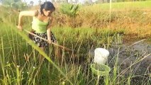 Amazing Village Girl Catching Fish in Muddy Fishing - Solo Girl Survival Fishing
