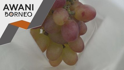 Kenali Bario | Anggur, kayu manis produk baharu di Bario