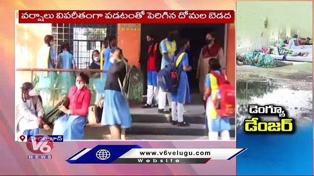Special Story On Increase Of Dengue Cases | Dengue Danger Bells | V6 News