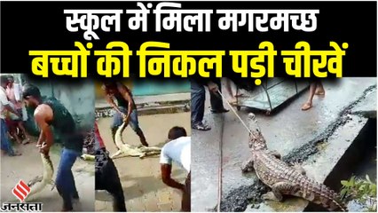 Aligarh के एक गांव के तालाब से निकलकर मगरमच्छ पहुंचा स्कूल के अंदर | Viral Video