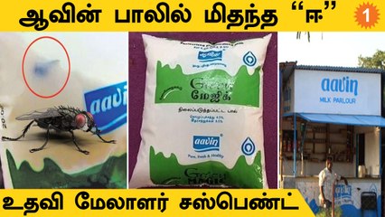 Aavin Milk | ஆவின் பாலில் ஈ மிதந்த விவகாரத்தில் உதவி மேலாளர்  சஸ்பெண்ட்