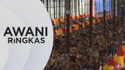 AWANI Ringkas: Ladang terpilih dibenarkan eksport ayam mulai Oktober