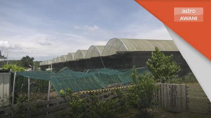 IR4.0 | Ladang Vanila pintar manfaat teknologi pertanian 4.0