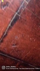 Indian song  Girl  Dance,Dancer