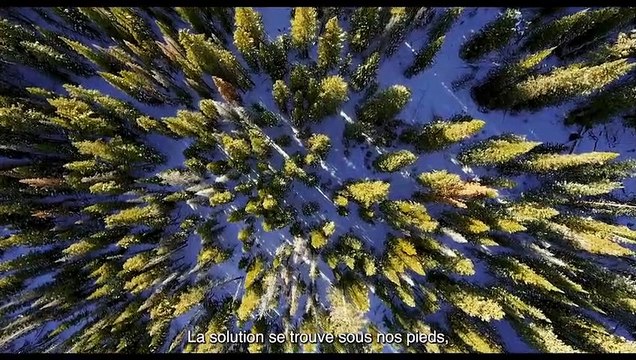 Mission régénération Bande-annonce VO