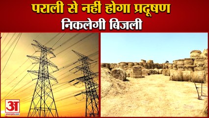 Electricity Will Be Generated From Parali In Haryana|पराली से अब नहीं होगा प्रदूषण,निकलेगी बिजली
