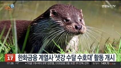 [비즈&] 현대차-BTS, 내일 월드컵캠페인 노래 발표 外