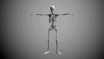 SKELETON DANCE BONES DANCER HIP HOP FUN