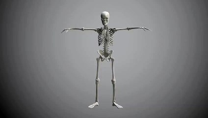 SKELETON DANCE BONES DANCER HIP HOP FUN