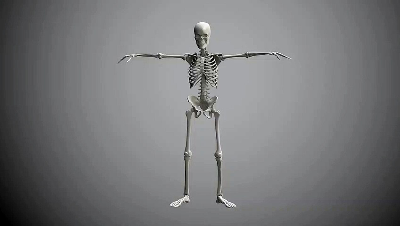 SKELETON DANCE BONES DANCER HIP HOP FUN